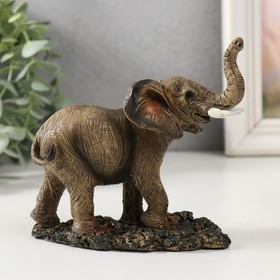 Сувенир полистоун 'Слон на прогулке' 12,5х6,2х11 см