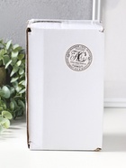 Сувенир полистоун лак "Лягуха - Доктор" 16х6х5,5 см - фото 809523618