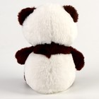 Мягкая игрушка «Панда», 22 см - фото 23032767