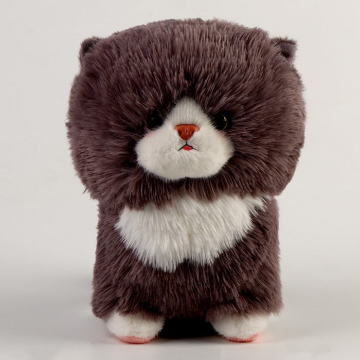 

Мягкая игрушка «Котёнок», 25 см