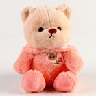 Мягкая игрушка "Медвежонок" в костюме, 23 см, цвет розовый - фото 3368933