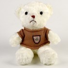 Мягкая игрушка «Медведь» в кофте, 29 см, цвет белый - фото 109122609