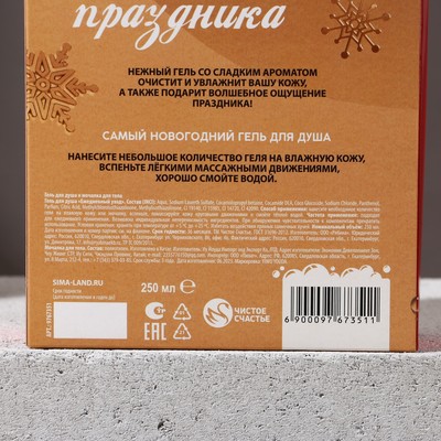 Новогодний подарочный набор косметики «Сияй в Новом году», гель для душа 250 мл и мочалка для тела, Чистое счастье