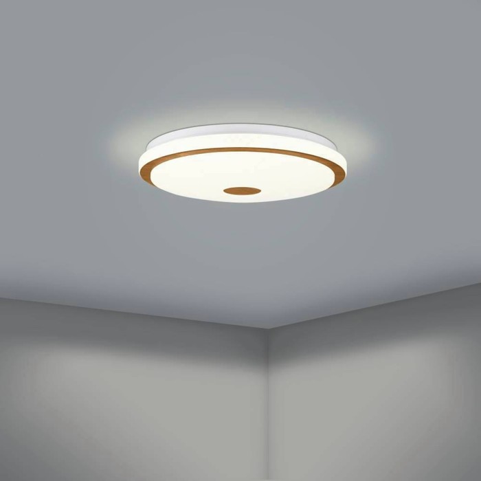 Настенно-потолочный светильник LANCIANO LED 24Вт 1900lm - фото 1906433358