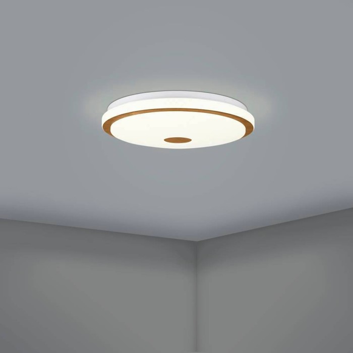 Настенно-потолочный светильник LANCIANO LED 24Вт 1900lm - фото 1906433359