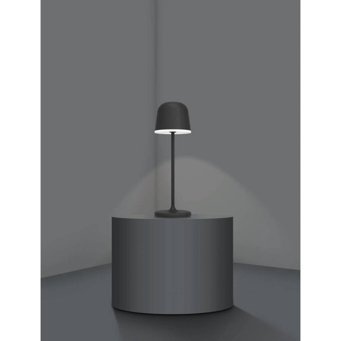 Настольная лампа MANNERA, LED 2,2Вт USB TYPE-C IP54 - фото 1906434605