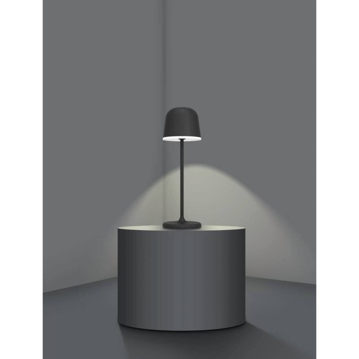 Настольная лампа MANNERA, LED 2,2Вт USB TYPE-C IP54 - фото 1906434606