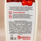 Новогодний подарочный набор косметики, гель для душа и шампунь для волос, 2 х 250 мл, Новый Год - Фото 6