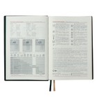 Ежедневник датированный 2024, А5, 176 листов "ESCALADA", твёрдый переплёт, искусственная кожа, тиснение фольгой, 3D-дизайн, кремовый блок 70 г/м², зелёный - фото 25608922