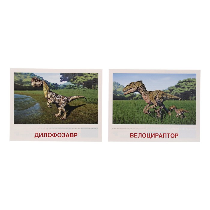 Демонстрационные картинки "Динозавры" 2 формата: 16 штук 17х22 см и 16 штук 6х9 см