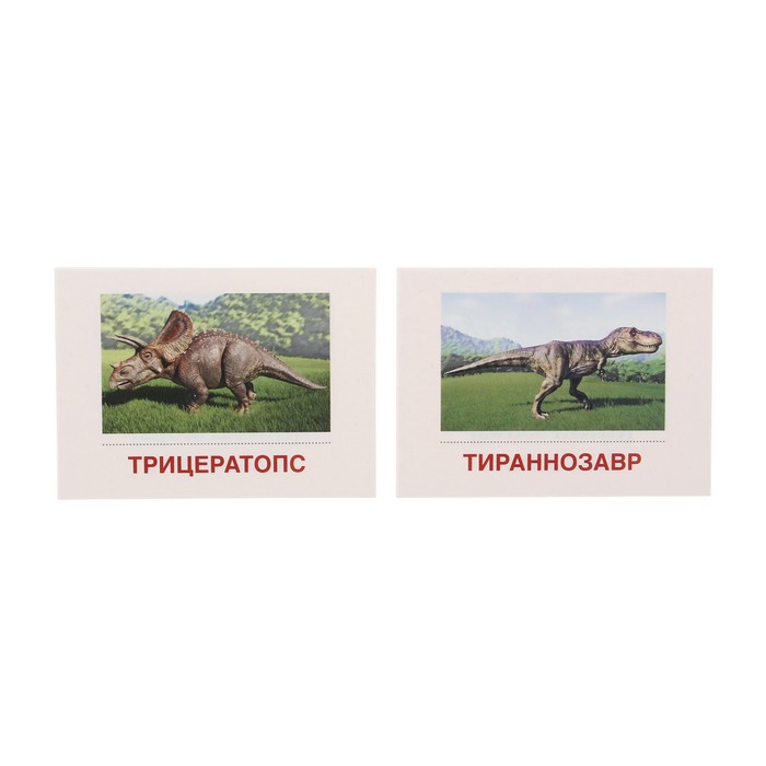 Демонстрационные картинки "Динозавры" 2 формата: 16 штук 17х22 см и 16 штук 6х9 см