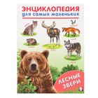 Энциклопедия для самых маленьких «Лесные зверята» - фото 3514887