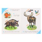 Энциклопедия для самых маленьких «Лесные зверята» - фото 24510036