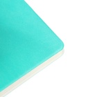 Ежедневник датированный 2025, A5, 168 листов, deVENTE.Nobile, мягкая обложка из искусственной кожи, ляссе, кремовый блок 70 г/м2, бирюзовый - Фото 5