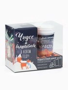 Подарочный набор новогодний «Чудес и волшебства»: горячий шоколад, маршмеллоу, термостакан - Фото 2