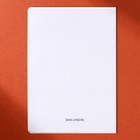 Обложка для паспорта «Закат», аниме, ПВХ - Фото 3