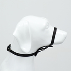 Намордник кожаный "Петля", 120 х 2 см, для крупных пород собак, черный - фото 23113544