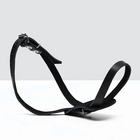Намордник кожаный "Петля", 120 х 2 см, для крупных пород собак, черный - фото 23951806