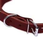 Ошейник кожаный однослойный, 54 х 2,5 см, ОШ 35-45 см, коричневый 9938427