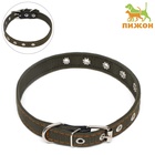 Ошейник брезентовый безразмерный двухслойный, 50×2 см, ОШ 22-45 см - Фото 2