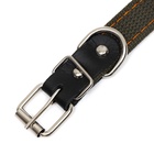 Ошейник брезентовый безразмерный двухслойный, 50×2 см, ОШ 22-45 см - Фото 5