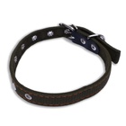 Ошейник брезентовый безразмерный двухслойный, 55×2.5 см, ОШ 25-45 см - Фото 3