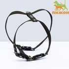 Шлейка брезентовая «Прогулочная», 2.5 см, ОШ 46-58 см, ОГ 78-85 см - Фото 1