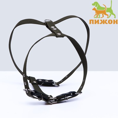 Шлейка брезентовая «Прогулочная», 2.5 см, ОШ 46-58 см, ОГ 78-85 см