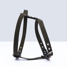 Шлейка брезентовая «Прогулочная», 2.5 см, ОШ 46-58 см, ОГ 78-85 см - Фото 2