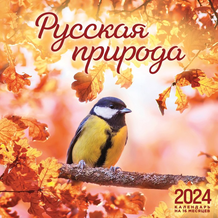 Русская природа. Календарь настенный на 16 месяцев на 2024 год, 30х30 см - Фото 1