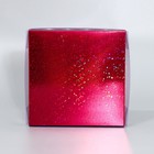 Коробка для печенья, кондитерская упаковка с PVC крышкой, «Бордовые звёдочки», 15 х 15 х 3 см 9915721