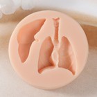 Молд силикон "Легкие и печень" 5,7х3,8х1,7   5х2,3х1,6 см - фото 24265084