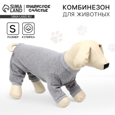 Комбинезон для животных светло-серый, S (ДС 31, ОШ 32-34, ОГ 47-51)