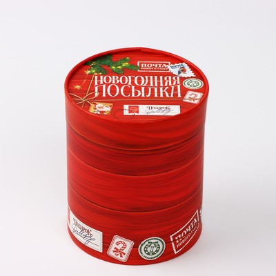 Коробка подарочная круглая «Новогодняя посылка», 12×16 см