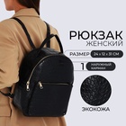 Рюкзак женский на молнии, с карманом, размер 24×12×31 см, чёрный - Фото 1