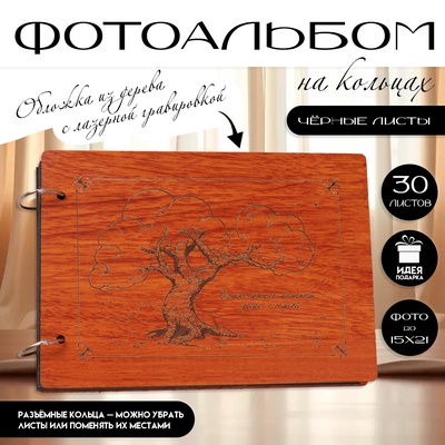 Фотоальбом на кольцах 30 листов Keep Memories «Самые ценные моменты - дома, с семьей», 27×19×2 см