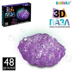 3D пазл «Волшебная ракушка», кристаллический, 48 деталей