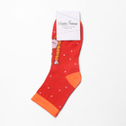 Носки "Мишка и Гусь", цвет красный, размер 23-27 (38-41) 9945879