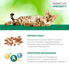 Влажный корм Perfect Fit иммунитет для кошек, говядина, лён, пауч, 75 г - Фото 6