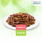 Влажный корм Perfect Fit иммунитет для кошек, говядина, лён, пауч, 75 г - Фото 10