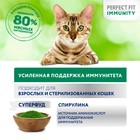 Влажный корм Perfect Fit иммунитет для кошек, индейка, спирулина, пауч, 75 г - Фото 6