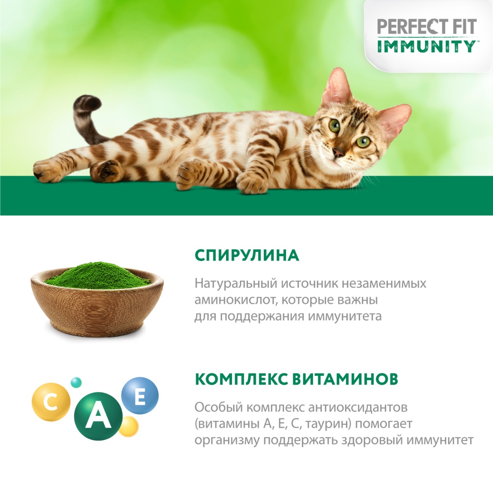 Перфект Для Кошек Купить