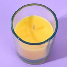 Ароматическая свеча «Манго», 5 х 6 см. - Фото 2