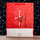 Пакет ламинированный вертикальный "Новогодний подарок", XL 43 x 55 x 15 - Фото 2