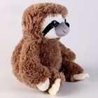 Мягкая игрушка «Ленивец», 25 см, коричневый - Фото 2