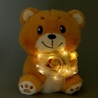 Мягкая игрушка «Медведь с букетом», 25 см, с гирляндой - Фото 4