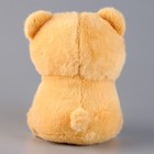 Мягкая игрушка «Медведь с букетом», 25 см, с гирляндой - Фото 8