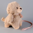 Мягкая игрушка «Собака», с поводком, 24 см, бежевая - Фото 4