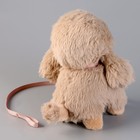 Мягкая игрушка «Собака», с поводком, 24 см, бежевая - Фото 5