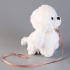 Мягкая игрушка «Собака», с поводком, 24 см, белая - Фото 2
